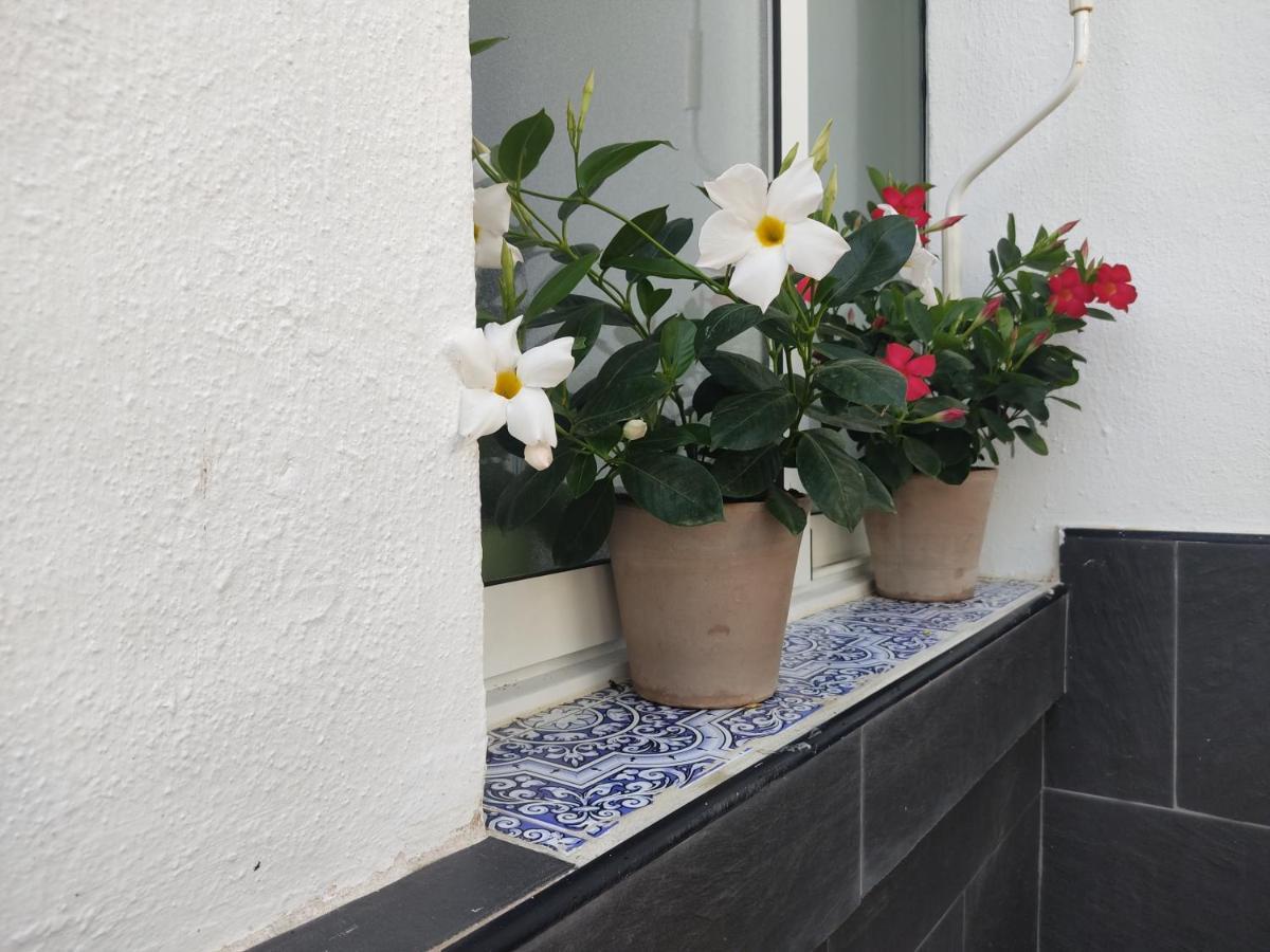 Apartamento 700 Metros De La Playa Плая Фламенка Екстериор снимка